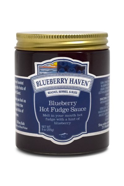 Blueberry Hot Fudge Sauce 2024-11-18